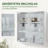 Medizinschrank, Abschließbarer Medikamentenschrank Mit 2 Schlüsseln, Glastür Und 6 Regalen, 48 X 46 X 12 Cm, Silber