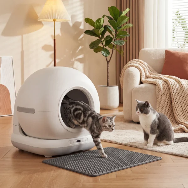 Selbstreinigende Katzentoilette, XL 72L Katzenklo Selbstreinigend Mit HD Kamera, App Steuerung Müllbeutel, Für 1 12 Kg