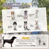 2 in 1 Hondenkar Voor Fiets Opvouwbare Hondenbuggy Voor Kleine & Middelgrote Honden Tot 20 Kg, Lichtgrijs