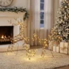 3 delige Verlichte Rendierset, Kerstdecoratie Voor Buiten Met 200 Warmwitte LED's, 8 Modi, Dagtimer