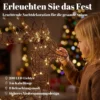 3 delige Verlichte Rendierset, Kerstdecoratie Voor Buiten Met 200 Warmwitte LED's, 8 Modi, Dagtimer