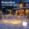 3 delige Verlichte Rendierset, Kerstdecoratie Voor Buiten Met 200 Warmwitte LED's, 8 Modi, Dagtimer
