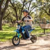 Elektrische Motorfiets Voor Kinderen 24 V Kinder Motocross Met 250W Motor 7Ah Batterij Achterwielophanging Schijfrem 16km/u 8–12 Jaar