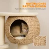 Grote Krabpaal 132 Cm Hoog Kattenboom Met Riet Hol Krabstammen Bed 3 Speelballen Kiepbeveiliging 1 2 Katten Tot 6kg