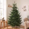 Kerstboom, Kunstmatige Spar, Realistisch Uiterlijk, Snelle Opbouw, Kunststof, Groen, 140 X 140 X 210cm