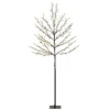 LED Kersenbloesemboom 180 Cm Met 200 LEDs, Kunstmatige Lichtboom Met 20 Buigzame Takken, Kerstdecoratie