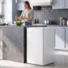 Mini diepvries 85 L, Compacte Staande Diepvries Met Verwisselbare Deuropening En Instelbare Temperatuur, Wit