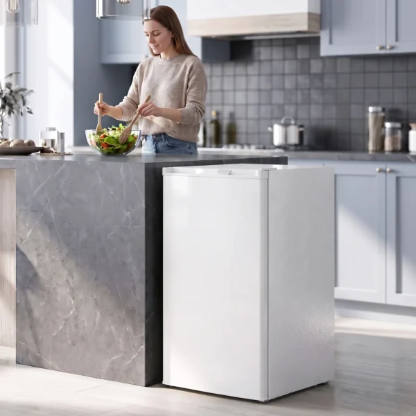 Mini diepvries 85 L, Compacte Staande Diepvries Met Verwisselbare Deuropening En Instelbare Temperatuur, Wit