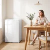 Mini diepvries 85 L, Compacte Staande Diepvries Met Verwisselbare Deuropening En Instelbare Temperatuur, Wit