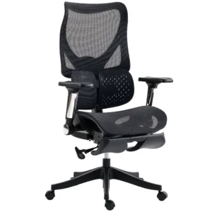 Ergonomischer Bürostuhl Mit Lordosenstütze, Netzstoff, Fußstütze, Schwarz