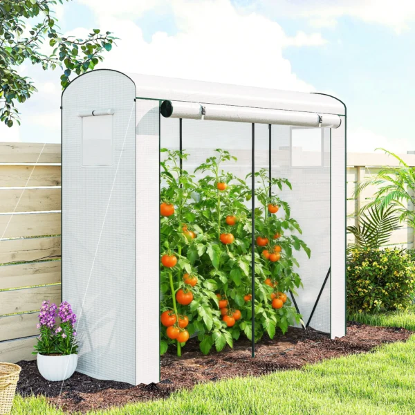 Kas Met Netramen En Oprolbare Deur, Stalen Foliekas 200 X 75 X 188 Cm Wit