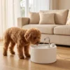Kattenfontein 2,2L Keramische Drinkfontein Met 4 voudig Filtersysteem 2 Modi 1 Filter & Schuim Ultrastille Pomp, BPA vrij