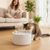 Kattenfontein 2,2L Keramische Drinkfontein Met 4 voudig Filtersysteem 2 Modi 1 Filter & Schuim Ultrastille Pomp, BPA vrij