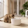 Kattenfontein 2,2L Keramische Drinkfontein Met 4 voudig Filtersysteem 2 Modi 1 Filter & Schuim Ultrastille Pomp, BPA vrij