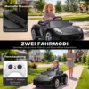 Kinder Elektroauto Porsche 12V Kinderauto Met Lithium Batterij Afstandsbediening 2 Motoren Zachte Start Achterwielophanging