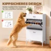 Moderne Schoenenkast Voor Maximaal 12 Paar Schoenen Met 2 Klapdeuren, Lade En Verstelbare Plank, Wit