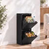 Mülleimer Soft Close Schmal Abfalleimer 2 Innenbehälter 30L Schwarz