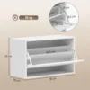 Schoenenkast Met 2 Kleppen, Hangende Schoenenkast Met Plank, Smal Schoenenrek Voor 6 Paar Schoenen 70 X 30 X 43 Cm, Wit